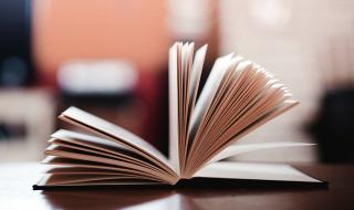 湄南河平原 湄南河平原