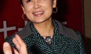 岁月象把杀猪刀 岁月象把杀猪刀