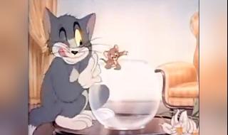 猫和老鼠四川方言版