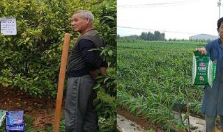 水溶肥十大品牌 水溶肥十大品牌