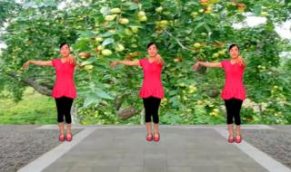 中老年人广场舞