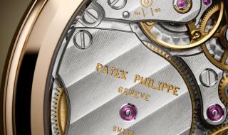 珍珠鹦鹉螺 珍珠鹦鹉螺