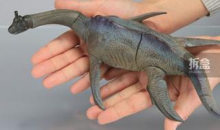 尼斯湖水怪最清楚照片 尼斯湖水怪最清楚照片